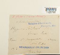 Image Associated With the Occurrence