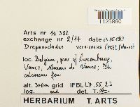 Hamatocaulis vernicosus image