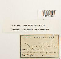 thumbnail image of current specimen