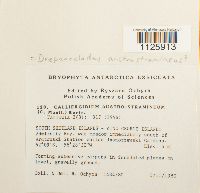 Thumbnail image of current specimen