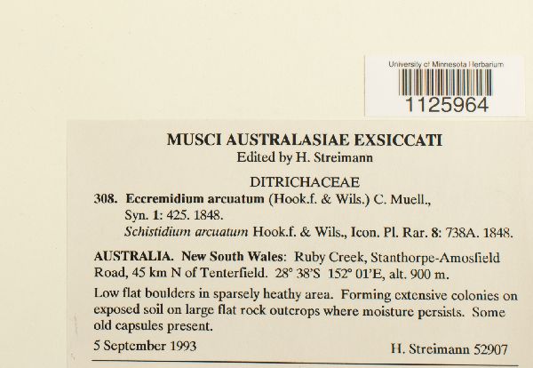 Eccremidium image