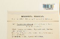 Image Associated With the Occurrence