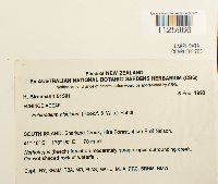 Thumbnail image of current specimen