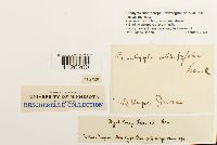 Image Associated With the Occurrence