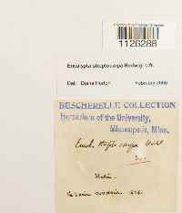 thumbnail image of current specimen