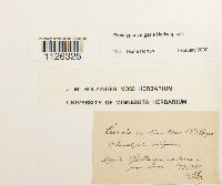 Image Associated With the Occurrence