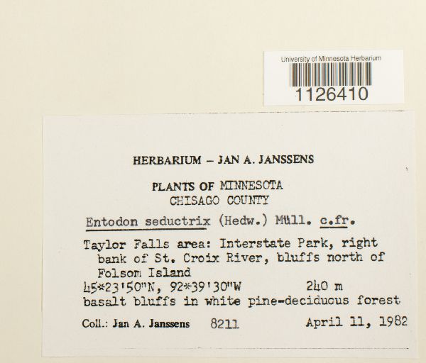 Entodon seductrix image