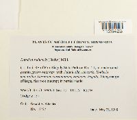 Thumbnail image of current specimen