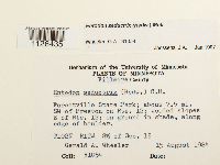 Entodon seductrix image