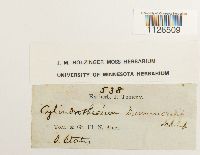 thumbnail image of current specimen
