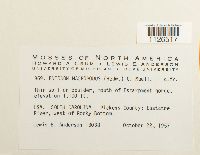 Thumbnail image of current specimen