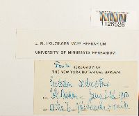 Entodon seductrix image