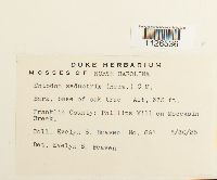 thumbnail image of current specimen