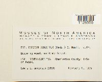 Entodon seductrix image