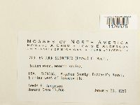 Entodon seductrix image