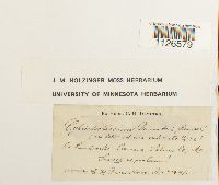 Media resource of Entodon seductrix