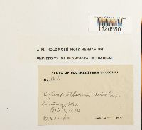 Thumbnail image of current specimen