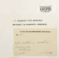 thumbnail image of current specimen