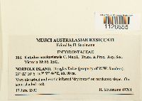 thumbnail image of current specimen