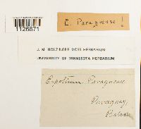 Image Associated With the Occurrence