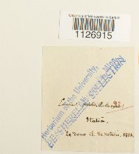 thumbnail image of current specimen