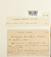 Image Associated With the Occurrence