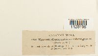 thumbnail image of current specimen