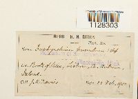 Image Associated With the Occurrence