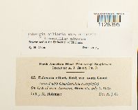 Image Associated With the Occurrence