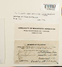 Image Associated With the Occurrence