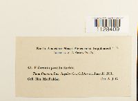 Image Associated With the Occurrence