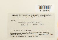 Image Associated With the Occurrence