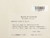 Image Associated With the Occurrence