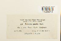 Image Associated With the Occurrence