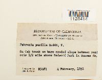 Image Associated With the Occurrence