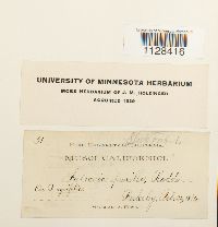 Image Associated With the Occurrence