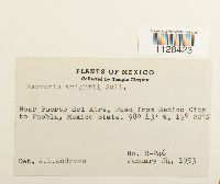 Image Associated With the Occurrence