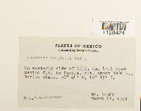 Image Associated With the Occurrence