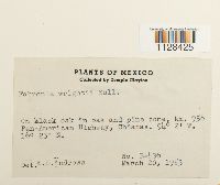 Image Associated With the Occurrence