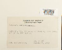 Image Associated With the Occurrence