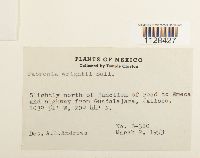 Image Associated With the Occurrence