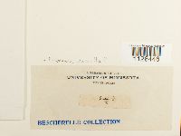 Image Associated With the Occurrence