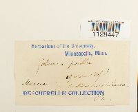 Image Associated With the Occurrence