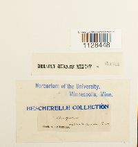 Image Associated With the Occurrence