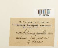 Image Associated With the Occurrence