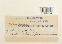 Image Associated With the Occurrence