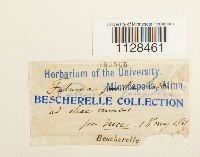 Image Associated With the Occurrence