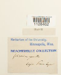 Image Associated With the Occurrence