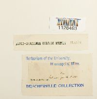 Image Associated With the Occurrence