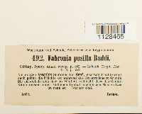 Image Associated With the Occurrence